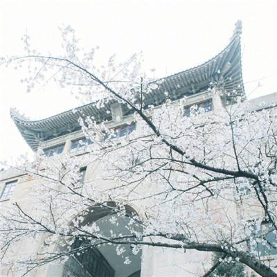 全球连线｜阿卜杜勒·阿齐兹国王公共图书馆精彩亮相第30届北京国际图书博览会