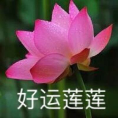 河南虞城：经连续7年在春节期间举办“饺子宴”爱心活动